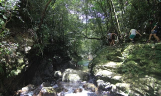 Bạch Mã - non xanh không dành cho xe máy