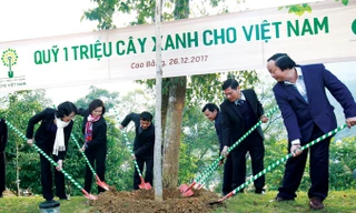 Bà Đặng Thị Ngọc Thịnh - Ủy viên Ban Chấp hành Trung ương Đảng, Phó Chủ tịch nước Cộng hòa Xã hội Chủ nghĩa Việt Nam cùng các Đại biểu trồng cây tại Khu di tích Quốc gia đặc biệt Pác Bó, tỉnh Cao Bằng.