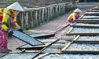 Phơi cá cơm để xuất sang thị trường Trung Quốc.