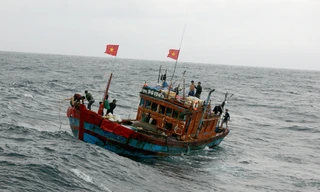 Bảo hiểm tàu cá là chính sách tốt đẹp, khuyến khích ngư dân bám biển nên việc trục lợi là không thể chấp nhận. Ảnh: Lê Hữu Việt.