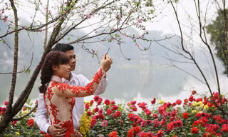Thanh niên thủ đô chụp ảnh bên đào Mộc Châu.