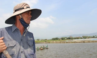 Tôm chết vì dịch bệnh, nguồn nước ô nhiễm và thiếu mặn khiến nông dân lo lắng.