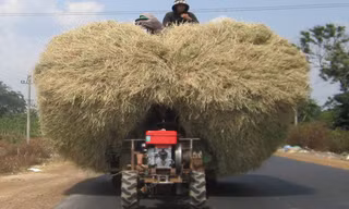 Hiểm họa từ những cây rơm di động