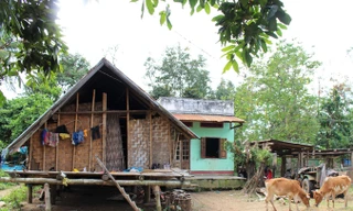 Ngôi nhà xây cấp 4 phía sau nhà sàn đã xuống cấp.