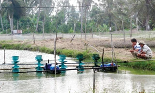 Báo động về tai nạn điện sinh hoạt