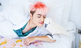 Người ta nổi tiếng sau một đêm