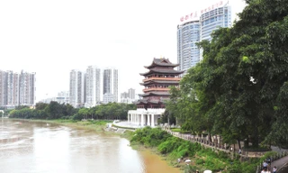 Bên bờ Ung Giang.