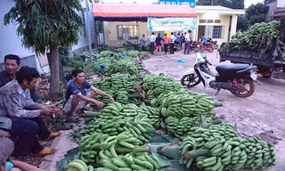 Ế vì không có liên kết, làm theo phong trào