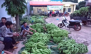 Ế vì không có liên kết, làm theo phong trào