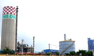 Thanh tra Chính phủ yêu cầu Vinachem thu hồi hàng chục tỷ đồng