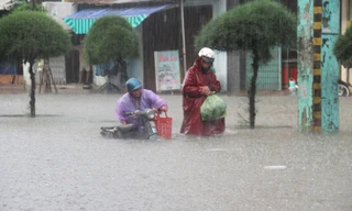 Năm 2016, Quảng Nam cũng bị thiệt hại nặng nề do lũ lụt nhưng không xin cứu trợ gạo của T.Ư dịp Tết này. Ảnh: Hoài Văn