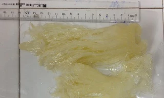 Cảnh báo vi cá mập giả mạo, làm từ nhựa dẻo