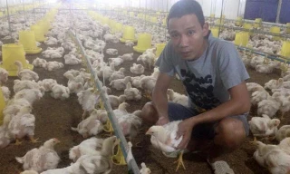 Trang trại gà trắng hơn 10.000 con được anh Hữu đầu tư theo mô hình khép kín hiện đại.