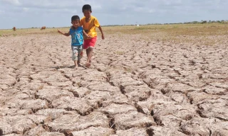 Đồng ruộng khô cằn vì hạn và mặn ở Bến Tre. Ảnh: Hòa Hội.