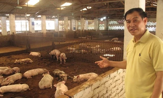 Sắp tới các hộ nông dân sẽ được tăng gấp đôi hạn mức tín dụng vay tín chấp.