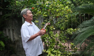 Mong mỏi của thầy Thiện là được công nhận sự đóng góp cho chiến tranh vệ quốc.