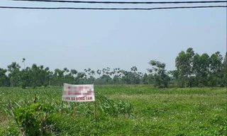 Thanh tra đề nghị thu hồi diện tích đất quốc phòng đang cho thuê, bị lấn chiếm tại sân bay Miếu Môn. Ảnh: NH.