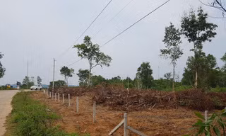 Khu đất trên 70 ha của Tập đoàn 3, ấp Cây Thông Trong, xã Cửa Dương đã bị một nhóm người bán bất hợp pháp.