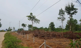 Khu đất trên 70 ha của Tập đoàn 3, ấp Cây Thông Trong, xã Cửa Dương đã bị một nhóm người bán bất hợp pháp.