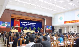 Nóng chuyện phá rừng