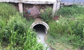 Cống chảy chất thải màu trắng đục ra bên ngoài ruộng của người dân.