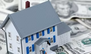 Thuế nào nuôi nổi!