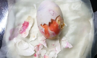 Quả trứng lạ của gia đình anh Giang.