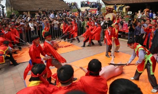 Năm nay Ném Thượng vẫn chém lợn, chỉ là không chém giữa sân đình như năm ngoái. Ảnh: Như Ý.