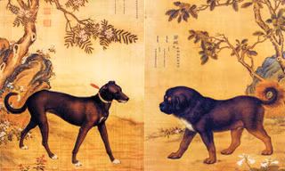 Ðàn chó săn của hoàng đế