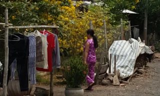 Lối vào nhà của nghi phạm Nguyễn Hữu Tình.