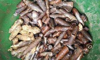 Thôn Quan Độ sau vụ nổ một ngày, cảnh tượng tan hoang