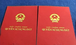 Đầu năm 2017 cư dân được kiện đòi sổ đỏ