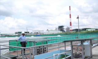 Khu vực xử lý nước thải của nhà máy giấy Lee&Man.