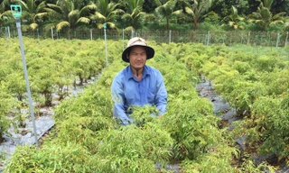 Anh Vũ Công Định bên vườn dược liệu của mình. Ảnh: Hòa Hội.