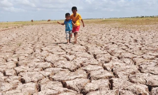 Trẻ em trên cánh đồng nứt nẻ ở Sóc Trăng vào năm 2016​. Ảnh: Hòa Hội.