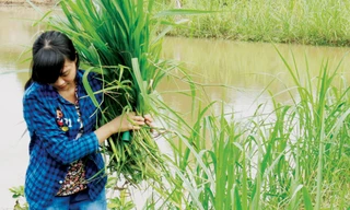 Gia cảnh nghèo khó của nữ sinh 29 điểm trượt đại học