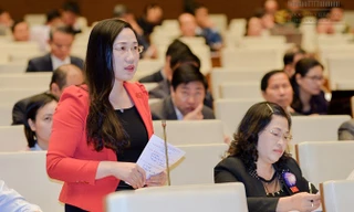 Đại biểu Nguyễn Thị Thuỷ. 