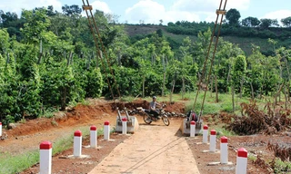 Cầu dây văng tại phường Thống Nhất vẫn chưa có đường vào.