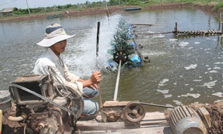 Báo động về tai nạn điện sinh hoạt: Nỗ lực ngăn chặn