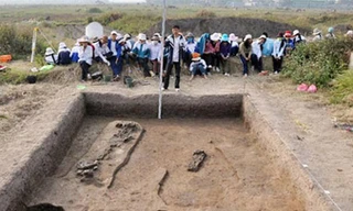 Quá trình khai quật chỉ ra giá trị to lớn của khu vườn chuối. Ảnh: Tư liệu.