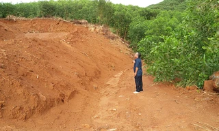 Khai thác mỏ gây ô nhiễm nguồn nước sinh hoạt