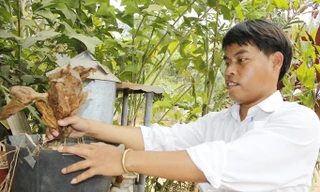 Nam sinh vượt ngàn cây số mong hàn gắn mối tình bằng Chiếc lá tình yêu