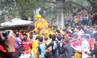 Cướp hoa tre, trầu cau ở Hội Gióng đền Sóc vẫn rất hăng nhưng may không xảy ra thương tích như vài năm trước. Ảnh: Nguyên Khánh.