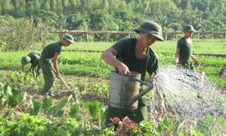 Chiến sĩ bộ đội tăng gia sản xuất. 