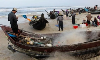 Ngư dân trúng đậm cá 'đặc sản' sau Tết