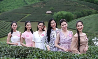 Vẻ tươi tắn của thí sinh Hoa hậu càng thêm nổi bật giữa khung cảnh đảo chè Thanh Chương. Ảnh: Mạnh Thắng.