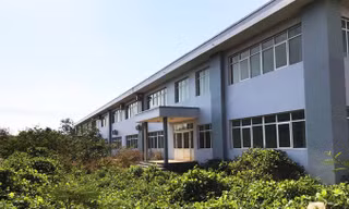 Cỏ um tùm quanh các tòa nhà bệnh viện mới xây.