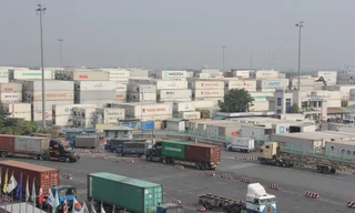 Hàng tắc nghẽn vì khai báo hải quan: DN ngành điều kêu cứu