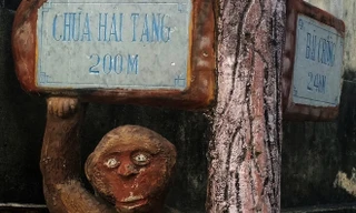 'Tôn Ngộ Không' cúp điện Cù Lao Chàm