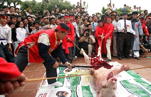 Chém lợn ở Ném Thượng, Bắc Ninh.